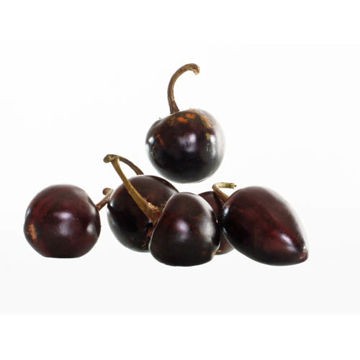 Chile Canica Chef & Hotel Bolsa de 1 Kg